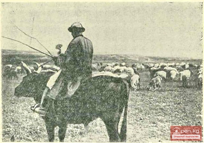 Скотоводство у кыргызов до XX века