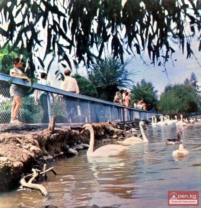 РОМАШЕНКО Ольга Иосифовна