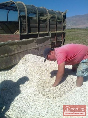 Земледелие Земледелие