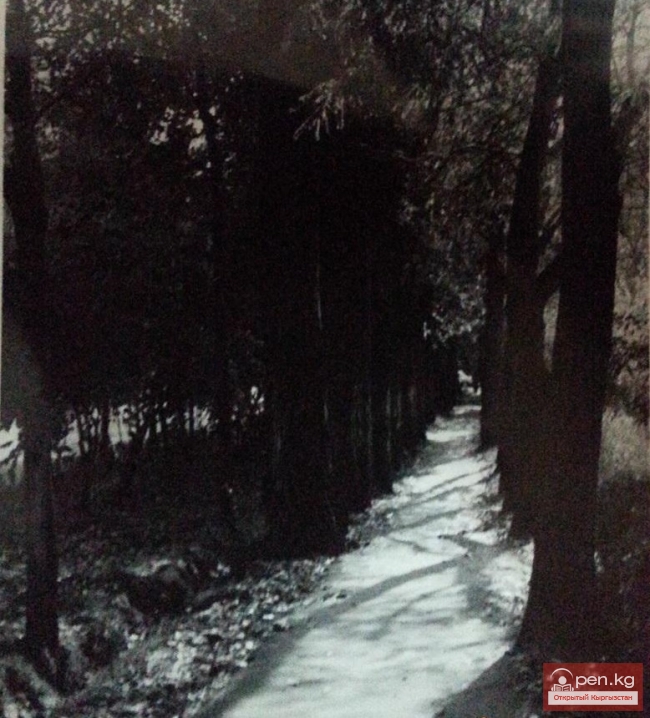 ОМУРАЛИЕВ Дуйшенбек Джунушевич