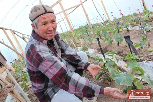 Земледелие