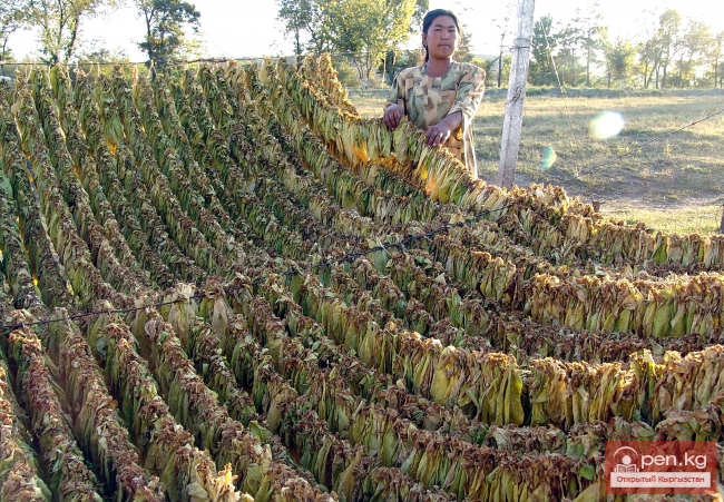 Земледелие