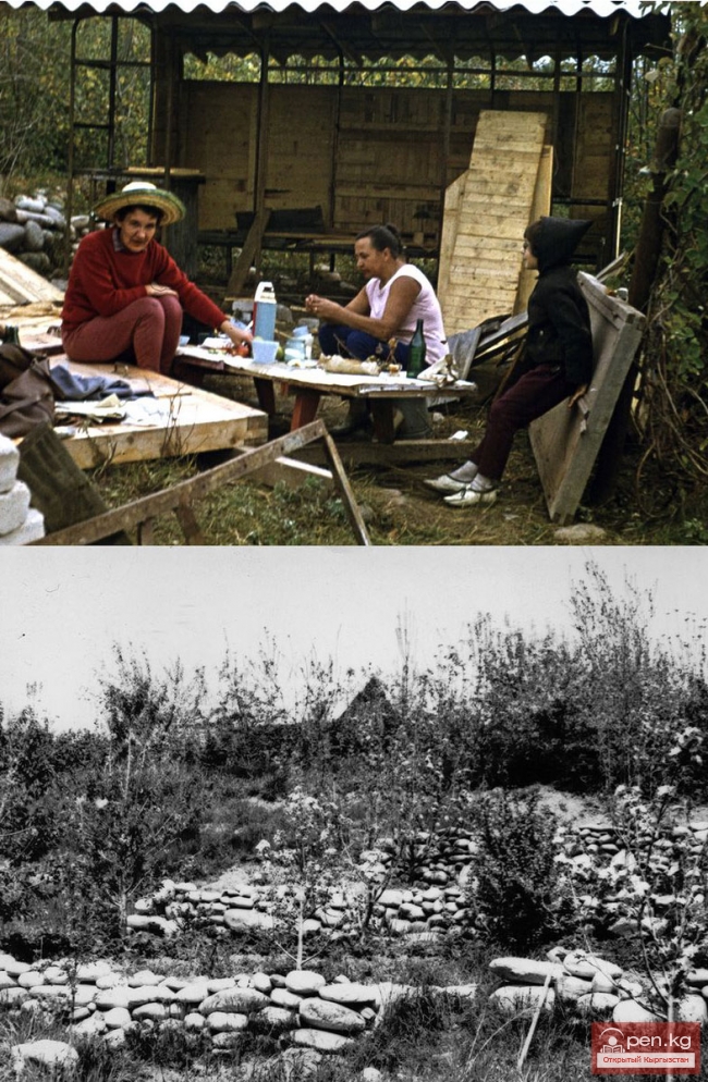 СТРИЖАЧЕНКО Алина Тимофеевна