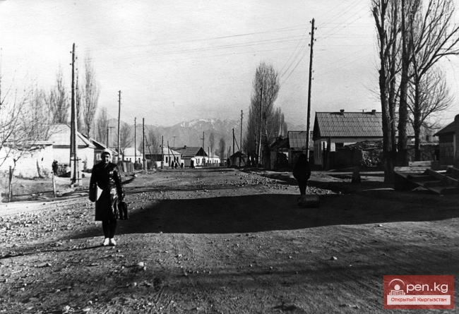 СТРИЖАЧЕНКО Алина Тимофеевна