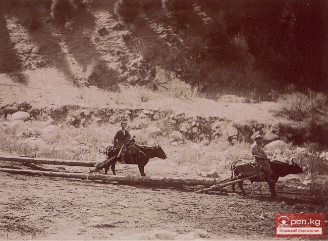 Строительство телеграфной линии Токмак-Пржевальск в 1900 г.