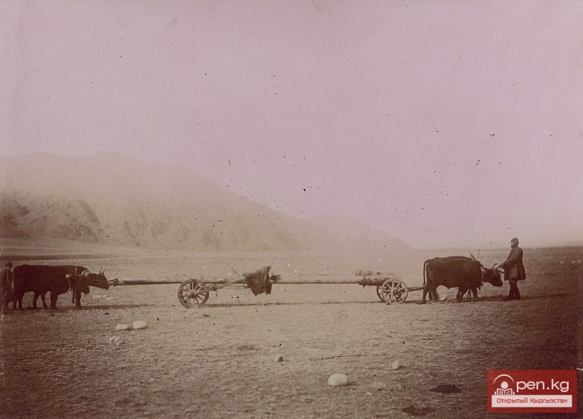 Строительство телеграфной линии Токмак-Пржевальск в 1900 г.