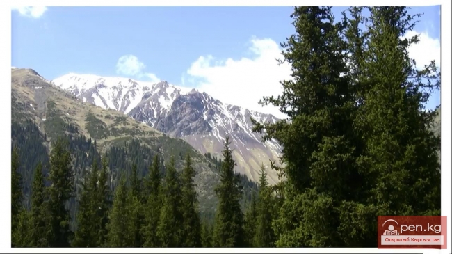 Ущелье Шамси