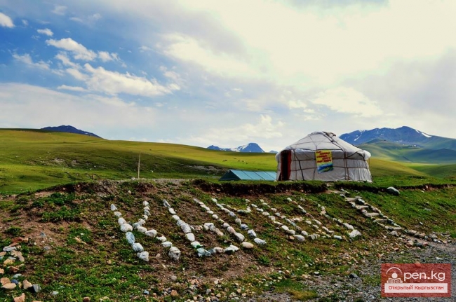 История и целебные свойства кымыза