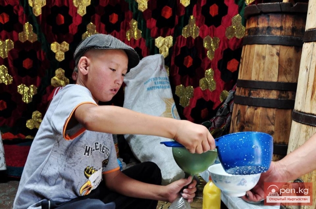 История и целебные свойства кымыза