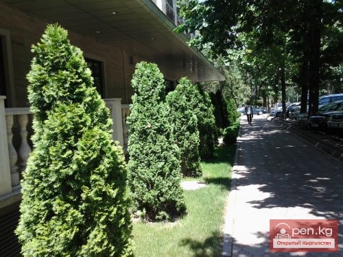 Памяти поэта - фронтовика.   Ул. Дж.Турусбекова