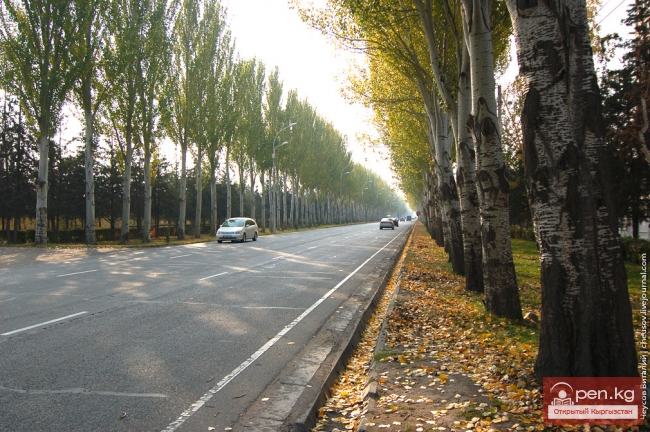 Дорога,переросшая в проспект.  Пр. Мира