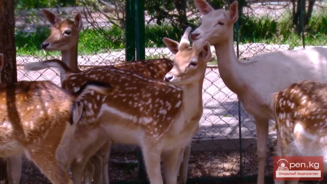 Два туриста на мели -6