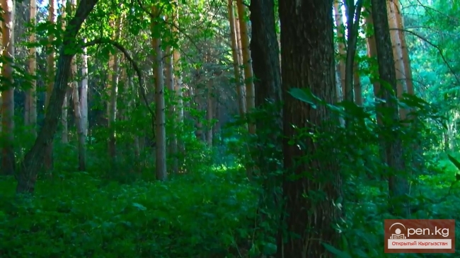 Два туриста на мели -7