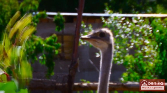 Два туриста на мели -9