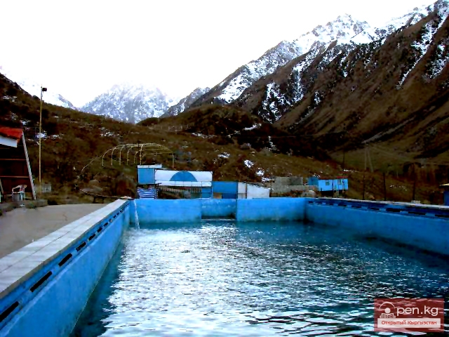 Что такое минеральные воды, и какие из них есть в Кыргызстане?