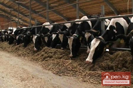 Производство продукции животноводства по состоянию на 1 марта 2015 года