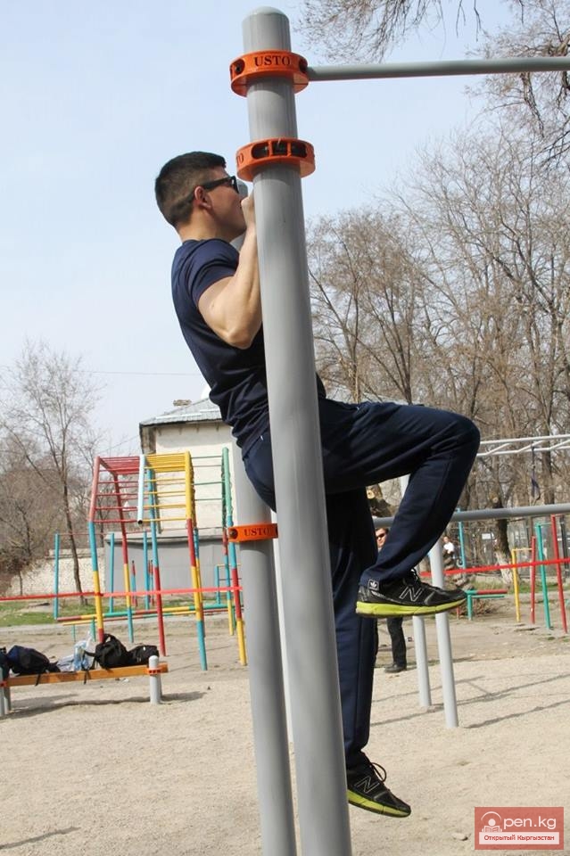 Спортплощадка для Street Workout