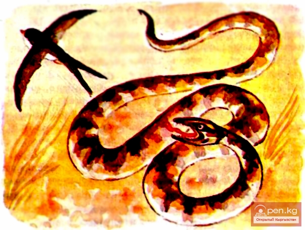 Притча о ласточке