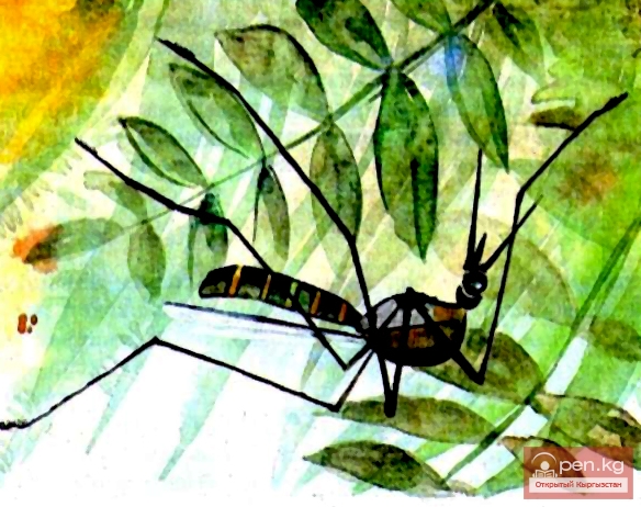 Комар-хвастунишка