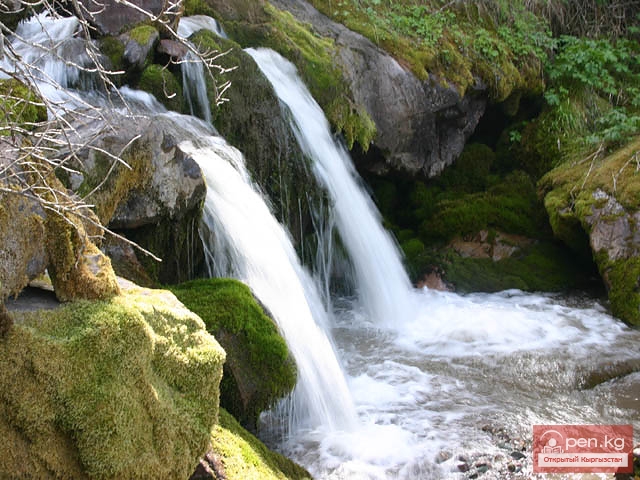 Углекислые родники Уселек