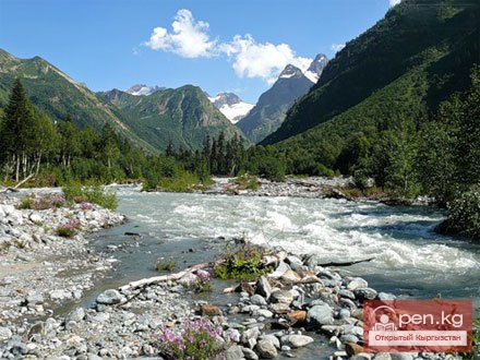 Углекислая вода в Чаекской скважине