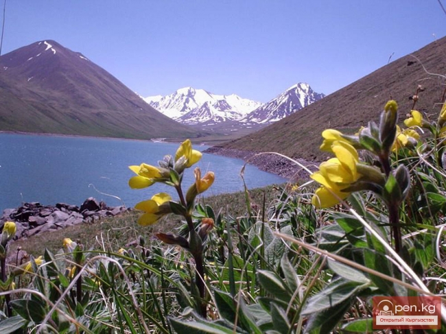 Индекс экологических достижений