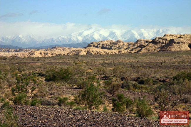 Кыргызы в Средней Азии. Ранние известия