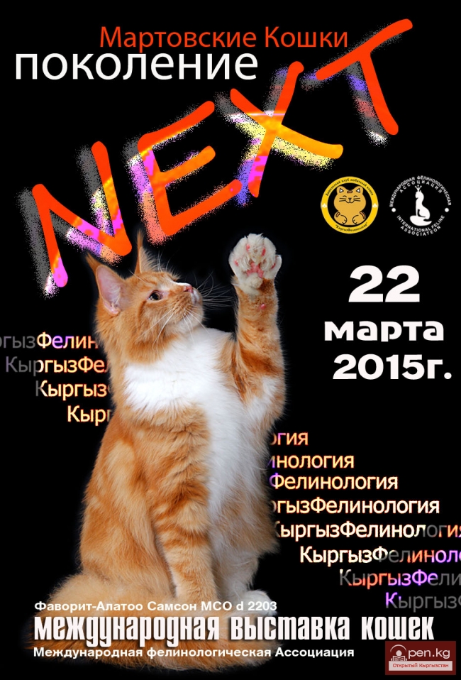 Международная выставка кошек. Система МФА. "Мартовские Кошки, поколение NEXT", Клуб организатор КЛК "КыргызФелинология"