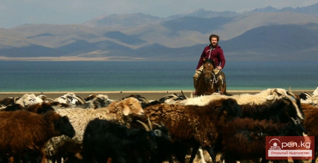 Премьера фильма «Рожденный кочевать»