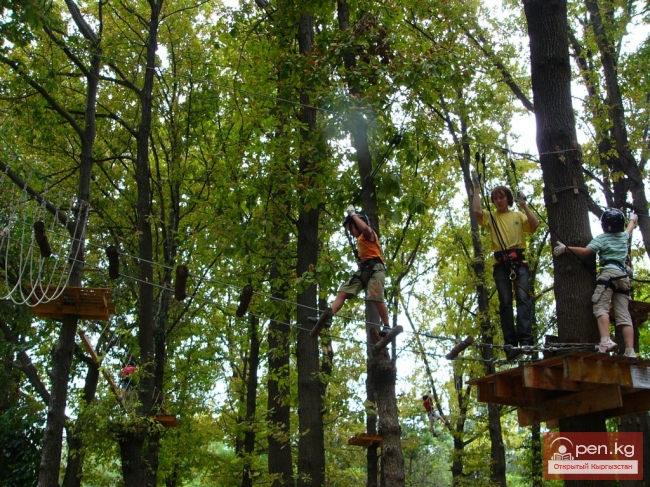 Аркан Токой — парк высотного экстрима