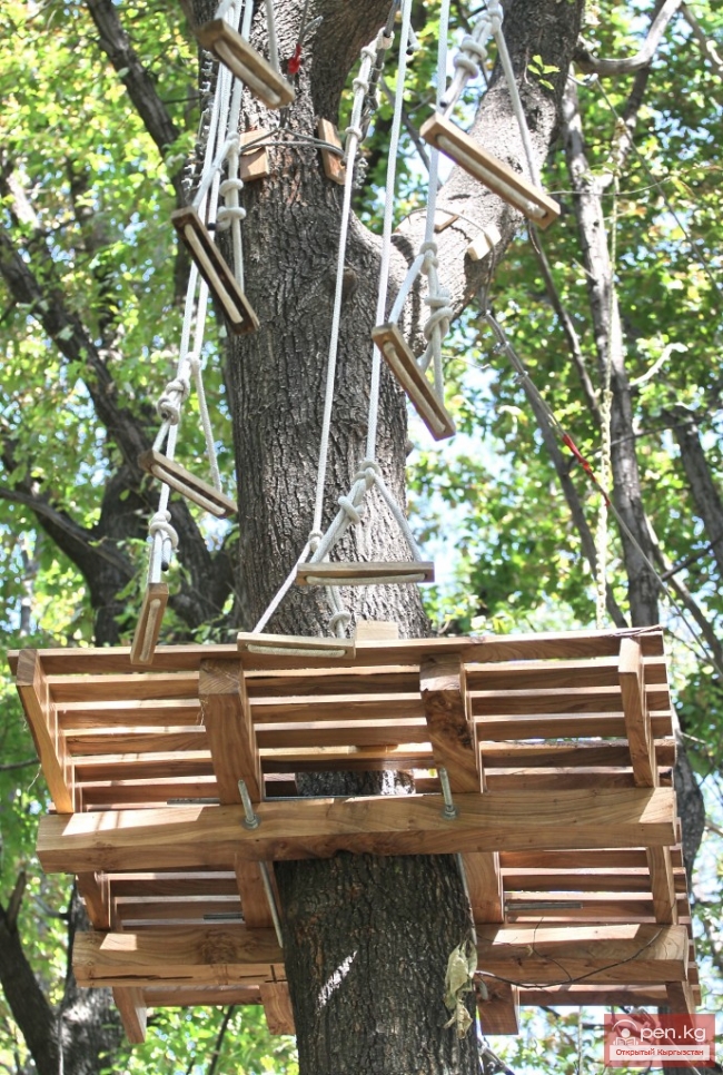 Аркан Токой — парк высотного экстрима