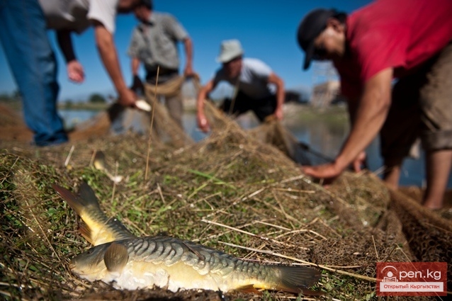 Сельское хозяйство Кыргызстана