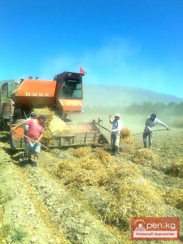 Сельское хозяйство Кыргызстана