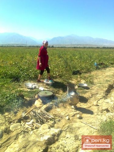 Сельское хозяйство Кыргызстана