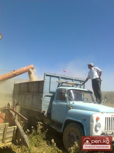 Сельское хозяйство Кыргызстана