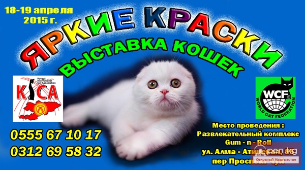 Выставка кошек 18-19 апреля