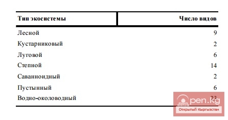 Птицы Красной Книги Кыргызстана Птицы Красной Книги Кыргызстана