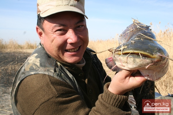 Места для ловли (обновляемая статья)