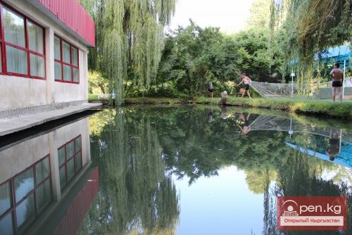 Центр отдыха "Бата"