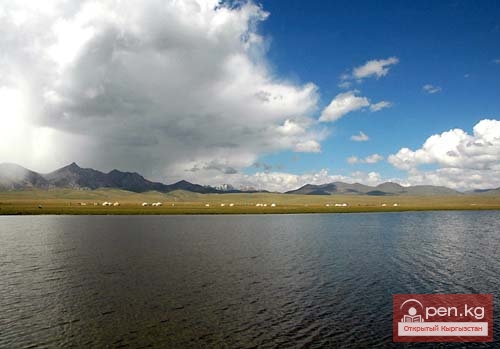 Дайвинг на Сонкуле