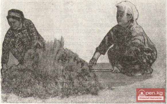 Обработка и подготовка шерсти Обработка и подготовка шерсти