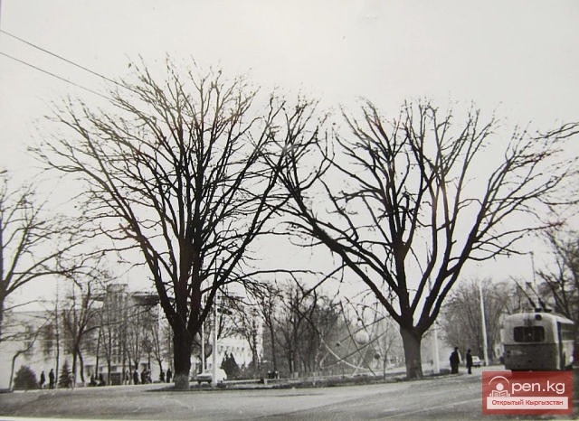 Национальная Академия Наук КР