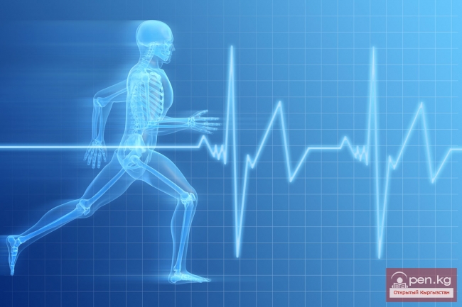 Лучшие организации здравоохранения первичного звена г.Бишкек получили подарки и оборудование