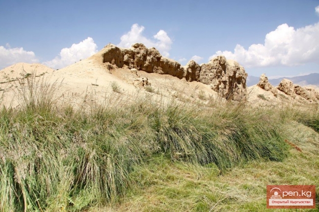 Городище Кошой-Коргон