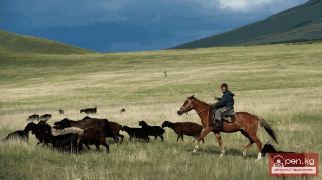 Сельское хозяйство Кыргызстана