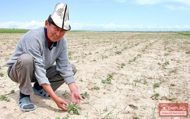 Сельское хозяйство Кыргызстана