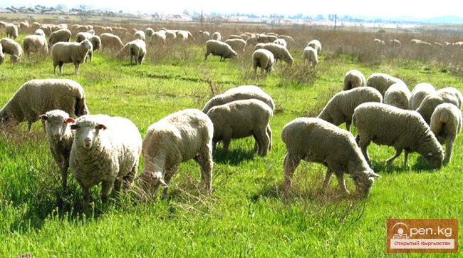 Сельское хозяйство Кыргызстана