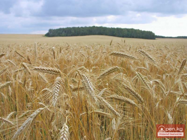 Сельское хозяйство Кыргызстана