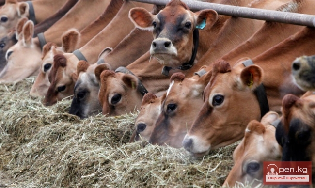 Сельское хозяйство Кыргызстана