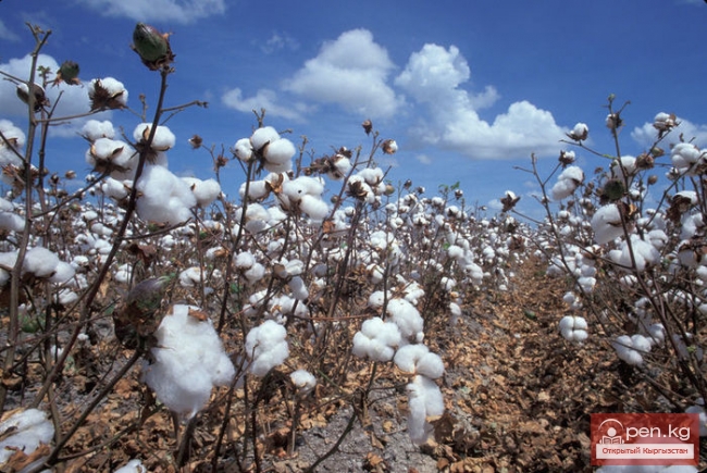 Сельское хозяйство Кыргызстана